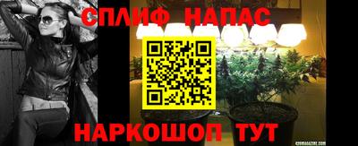 дурь Будённовск